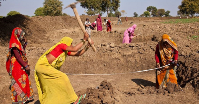 Mgnrega Employment
