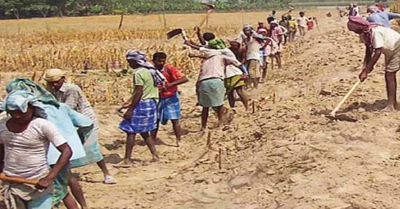 Mgnrega Employment 