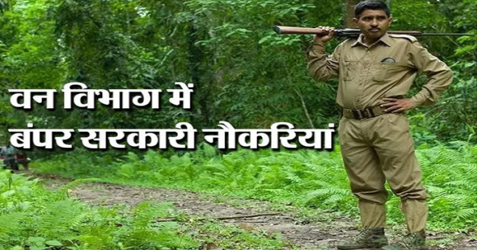 Bihar Forest Jobs 2025