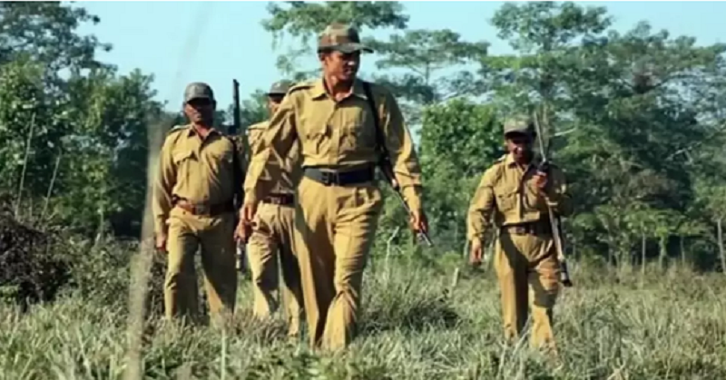 Bihar Forest Jobs 2025 