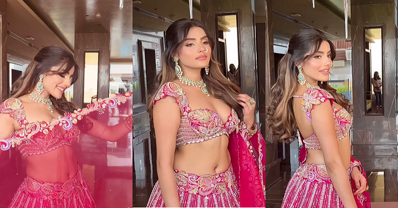 Ishan Kishan ki dulhan ki networth